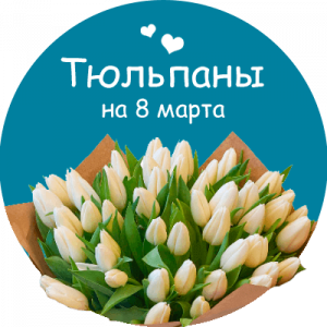 Купить тюльпаны в Жуковке